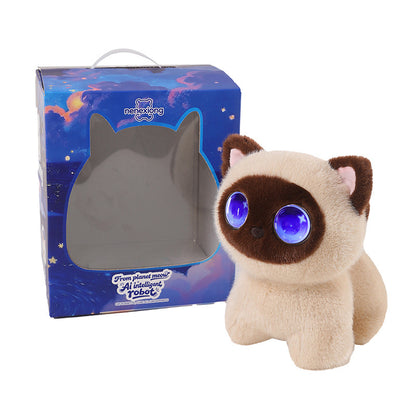 Interactive Plush Cat Toy