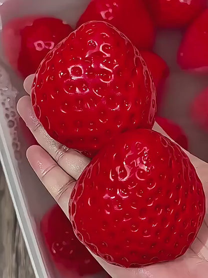 Giant Strawberry Sensory Squishy Stress Toy